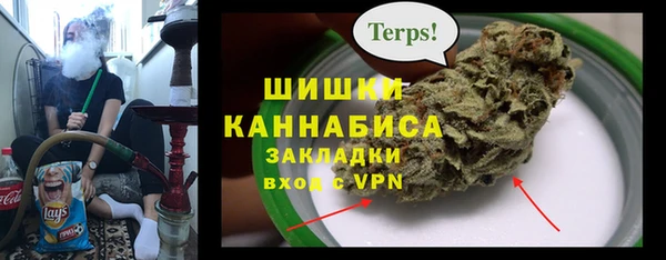 соль ск Алзамай