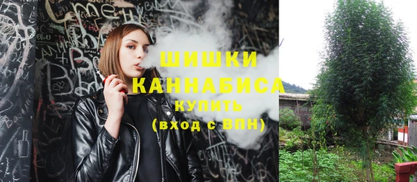 соль ск Алзамай