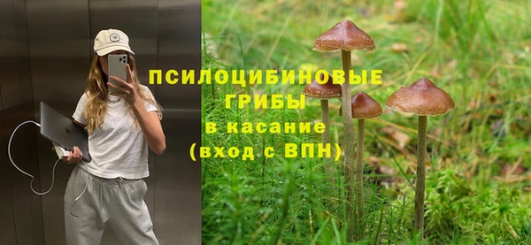 сатива Арсеньев