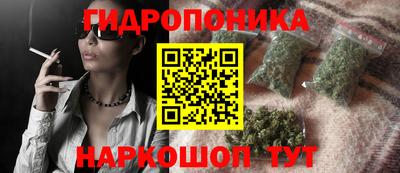 амф Новокубанск