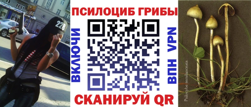 Галлюциногенные грибы прущие грибы  что такое   Югорск 