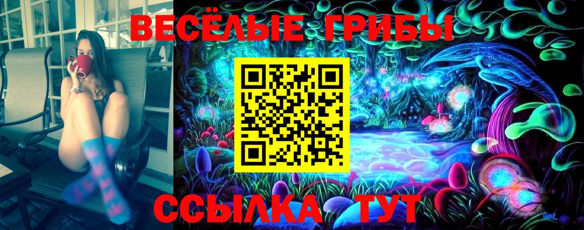 Югорск  цена наркотик  Вход с VPN  Псилоцибиновые грибы GOLDEN TEACHER 